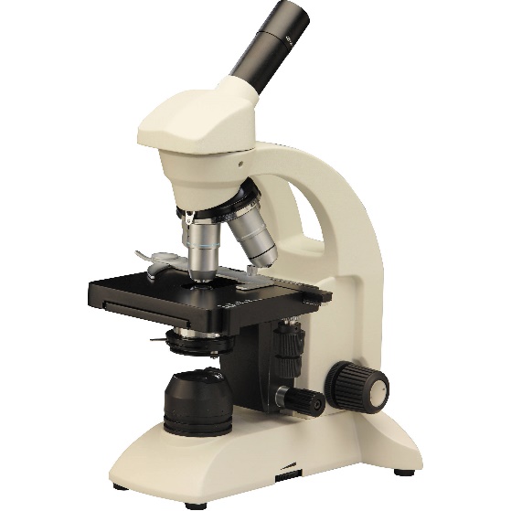 Model of Compound Microscope