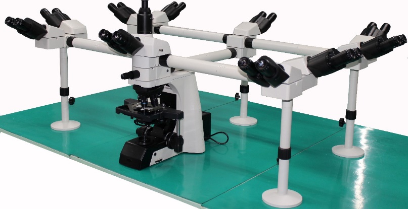 Deca Head Microscope