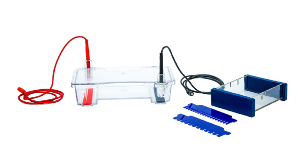 Gel Electrophoresis Equipment